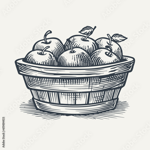 Woven basket with apples. Vintage woodcut engraving style vector illustration.	
