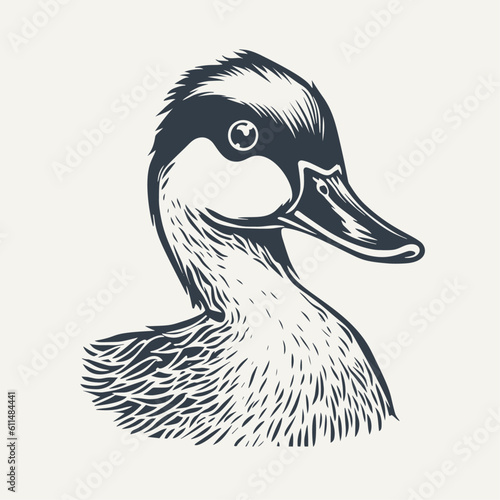 Duck head. Vintage woodcut engraving style vector illustration.	