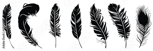 detailed majestic feather collection. various set of feathers illustration