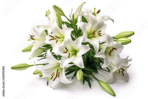 Lilies Lilium Tropical Garden Nature on White background, HD