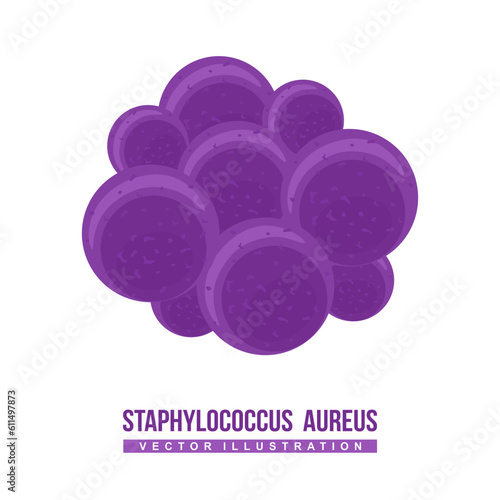 Staphylococcus aureus vector. Gram-positive spherically shaped bacterium, a member of the Bacillota. Frequently found in the upper respiratory tract and on the skin. Bacteria flat vector illustration