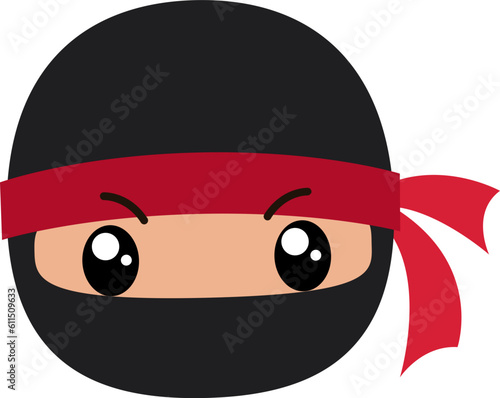 Ninja head