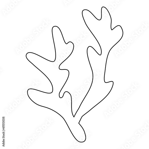 Sea and aquarium water plant or seaweed, doodle style vector outline illustration for coloring book