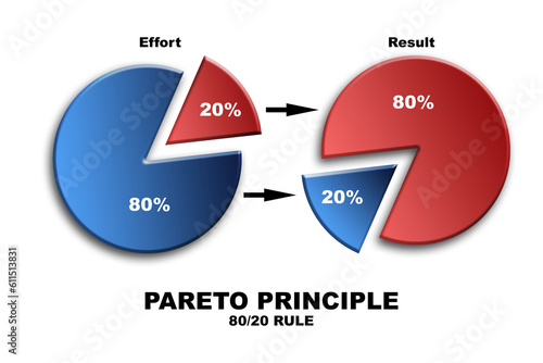 Pareto Principle of 20 80 rule in pie chart