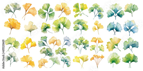 watercolor ginkgo leaves clipart for graphic resources