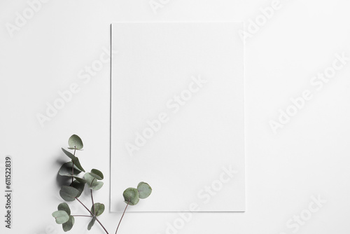 Empty sheet of paper and decorative eucalyptus leaves on white background, flat lay. Mockup for design