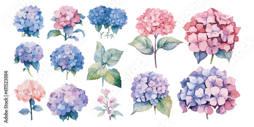 watercolor hydrangea clipart for graphic