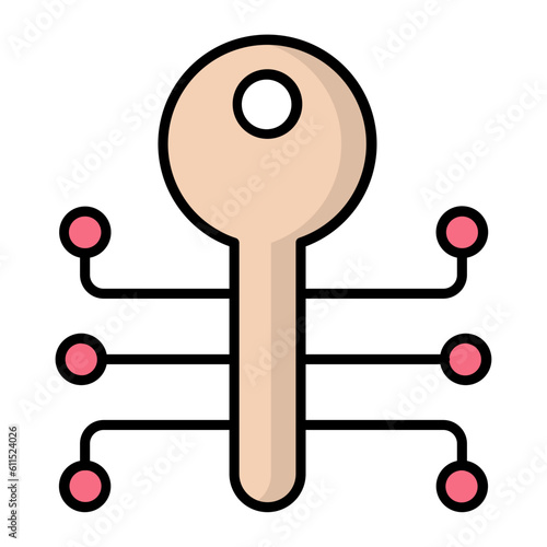 Key Encryption Line Color Icon