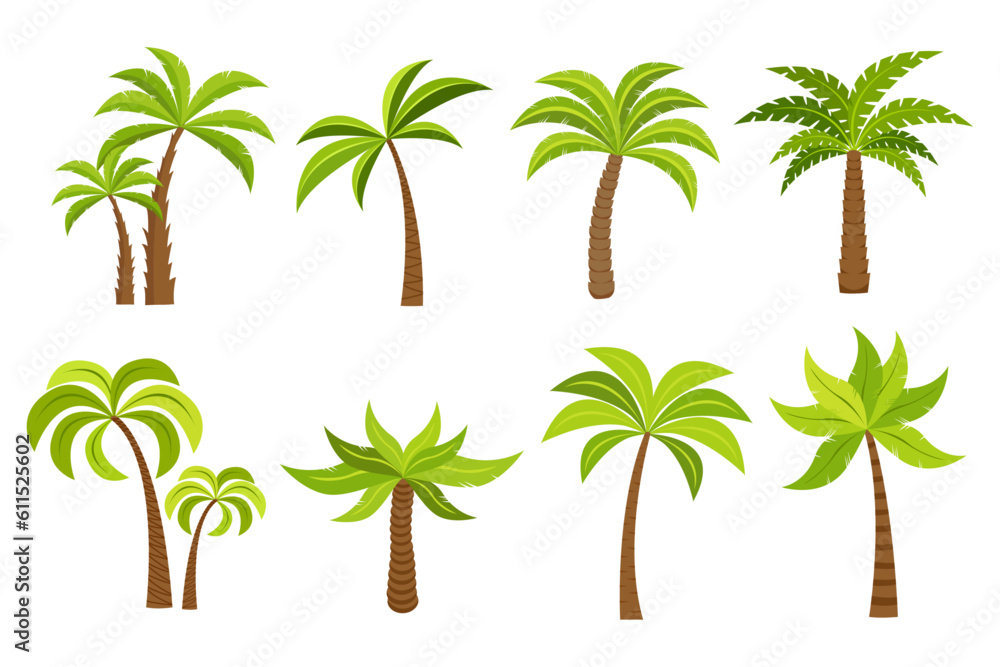 plam tree and coconut trees isolated on white background