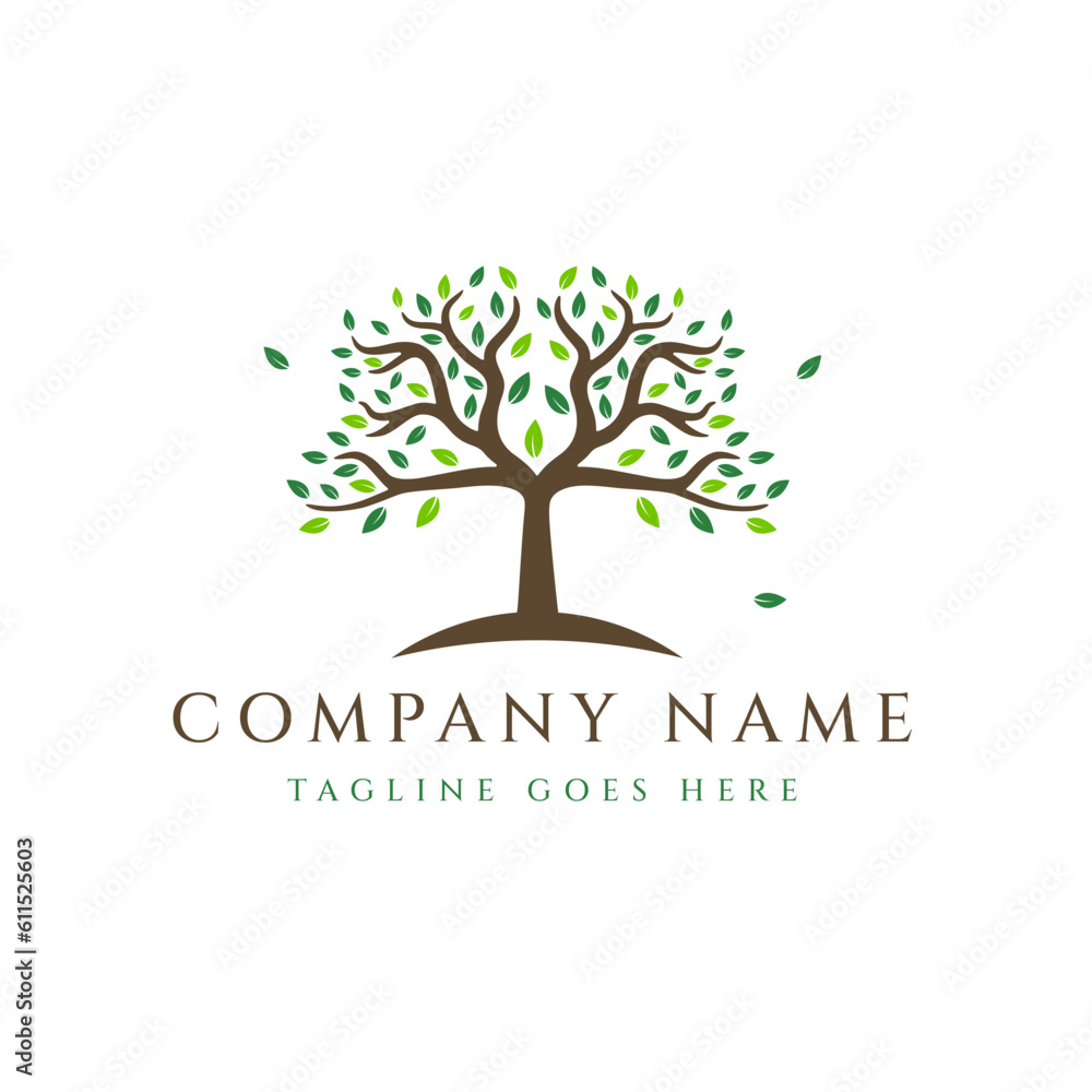 Obraz premium Abstract tree logo design, tree vector isolated on white background