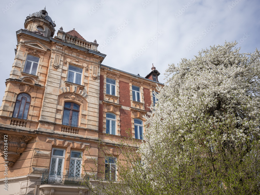 Fototapeta premium the exterior of historical building and spring tree in lviv old city