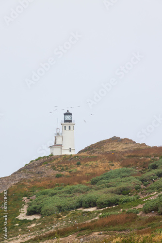 Quadro su tela Anacapa Island Light Station and foghorn at  Channel Islands National Park, Cali