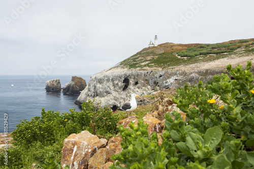 Obraz na plátne Anacapa Island Light Station and foghorn at Channel Islands National Park, Calif