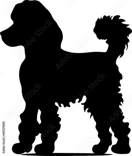 Poodle animal images