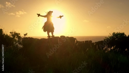 Hula Dancer Silhouette 