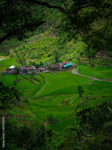 Bagaan rice terraces, Banaue, north Luzon, Philippines photo