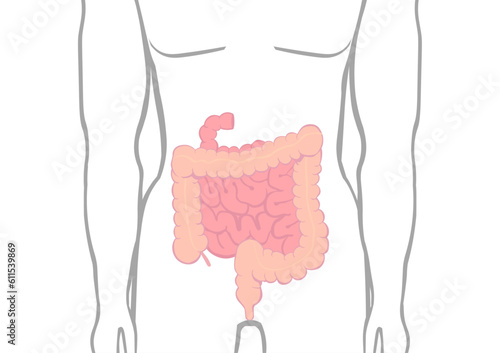人の大腸と小腸の位置を示すイラスト