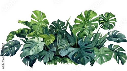 Exotic plant  palm leaf  monstera on isolated white background  watercolor illustration.Generated with AI