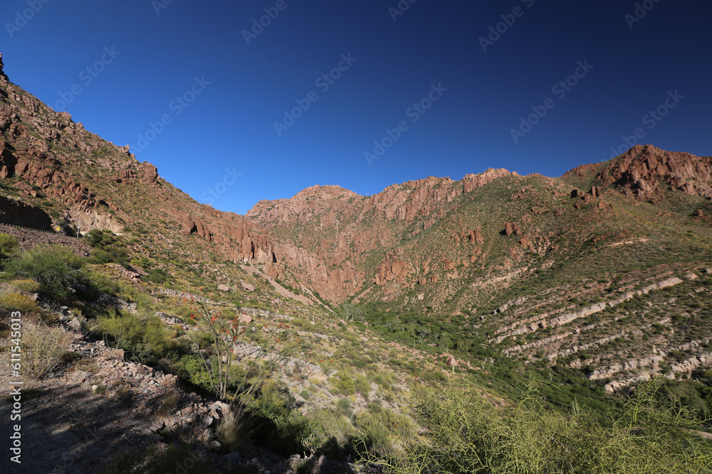 landscape of the mountains