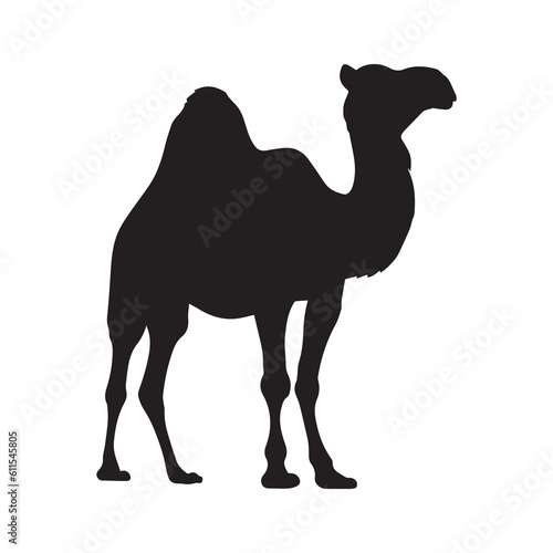 Camel Vector silhouette