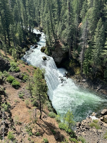 Tall cascading waterfall rushing through steep forested canyon cliffs with surrounding pine trees and white water foaming into the river below.