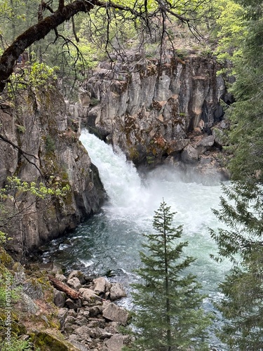 Gushing waterfall cascading through rocky canyon walls surrounded by dense pine forest and mist rising from the powerful rushing waters