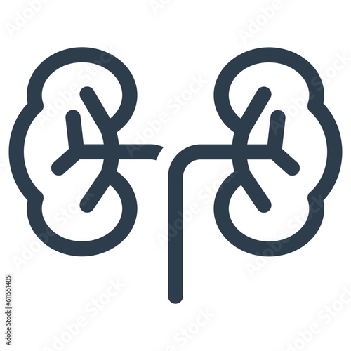 Human kidney icon