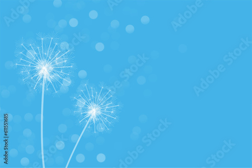 simple dandelion flower seeds in blue bokeh background vector