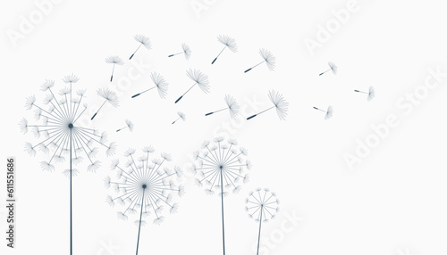 flying dandelion flower seeds make a wish concept background vector