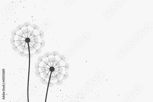 spring time dandelion flower seeds in white background vector