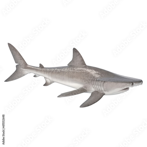 great white shark isolated on transparent background cutout