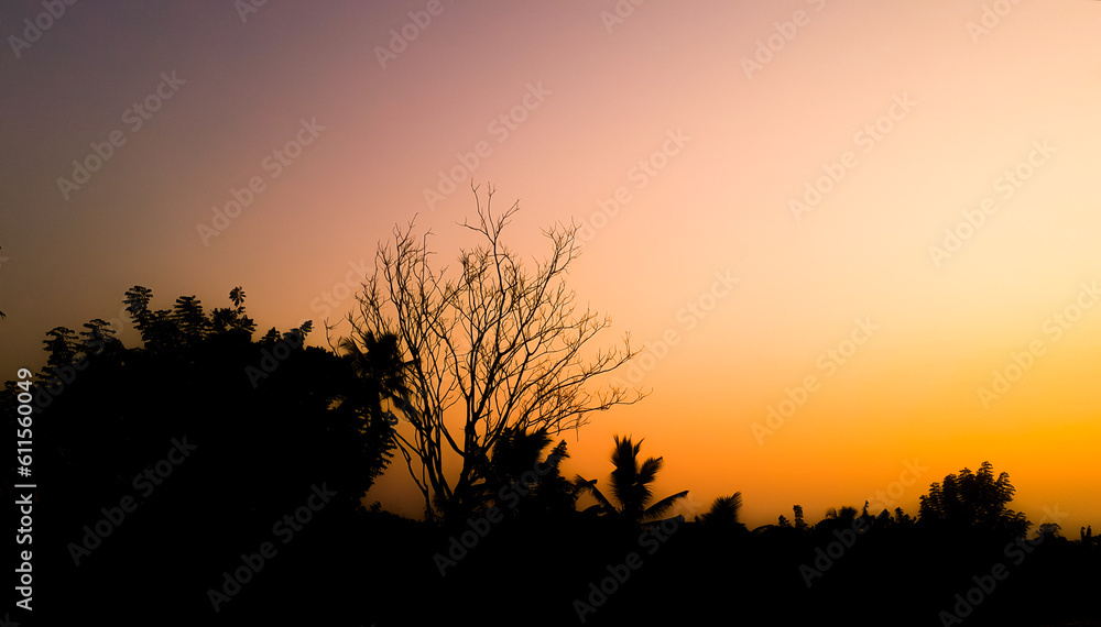 silhouette of a tree at sunset silhouette of a tree at sunset