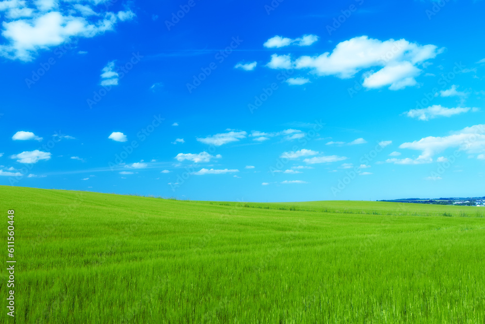 Hill, clouds and blue sky with landscape of field for farm mockup space, environment and ecology. Plant, grass and horizon with countryside meadow for spring, agriculture and sustainability