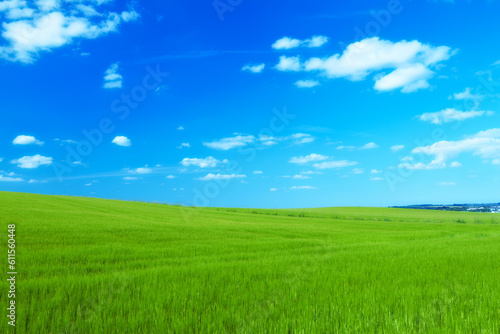 Hill, clouds and blue sky with landscape of field for farm mockup space, environment and ecology. Plant, grass and horizon with countryside meadow for spring, agriculture and sustainability