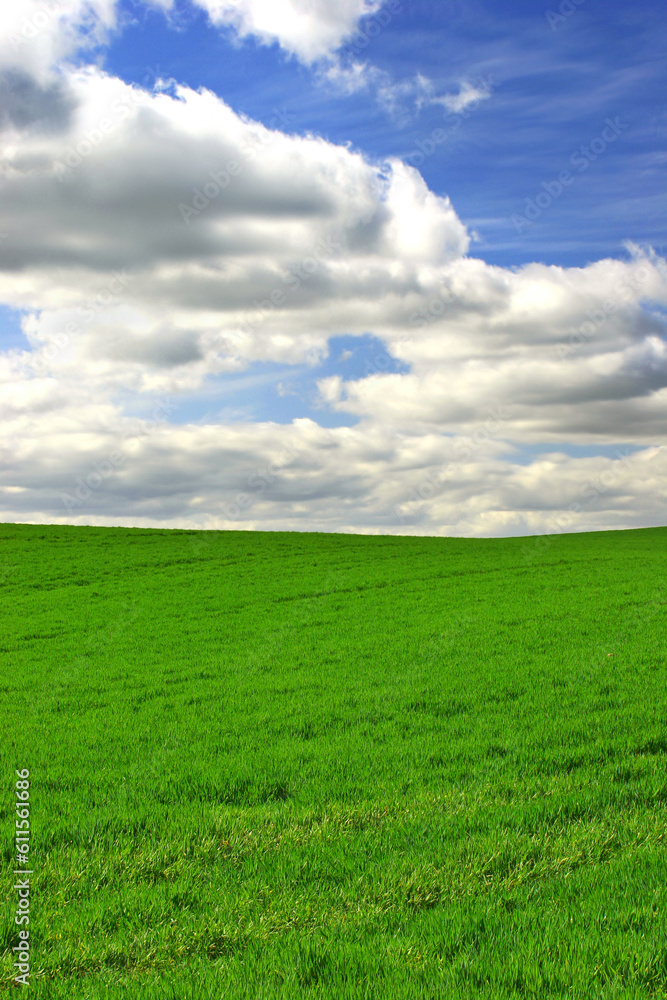 Grass, clouds and blue sky with landscape of field for farm mockup space, environment and ecology. Plant, nature and horizon with countryside meadow for spring, agriculture and sustainability