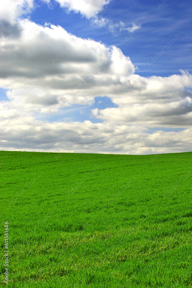 Grass, clouds and blue sky with landscape of field for farm mockup space, environment and ecology. Plant, nature and horizon with countryside meadow for spring, agriculture and sustainability Grass, clouds and blue sky with landscape of field for farm mockup space, environment and ecology. Plant, nature and horizon with countryside meadow for spring, agriculture and sustainability