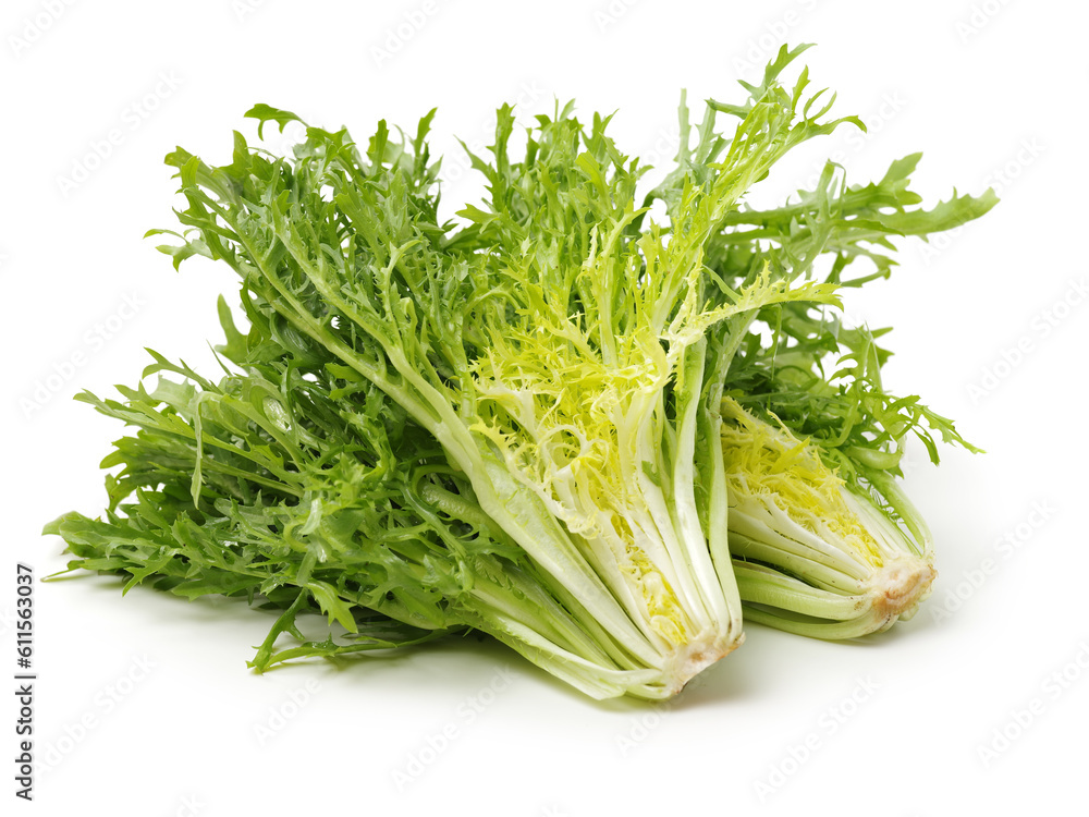 Escarole Endive on a white background Escarole Endive on a white background