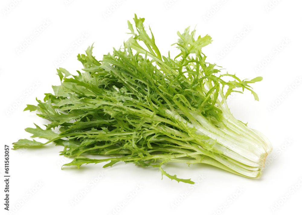 Escarole Endive on a white background Escarole Endive on a white background