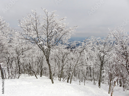 毛無山の雪景色