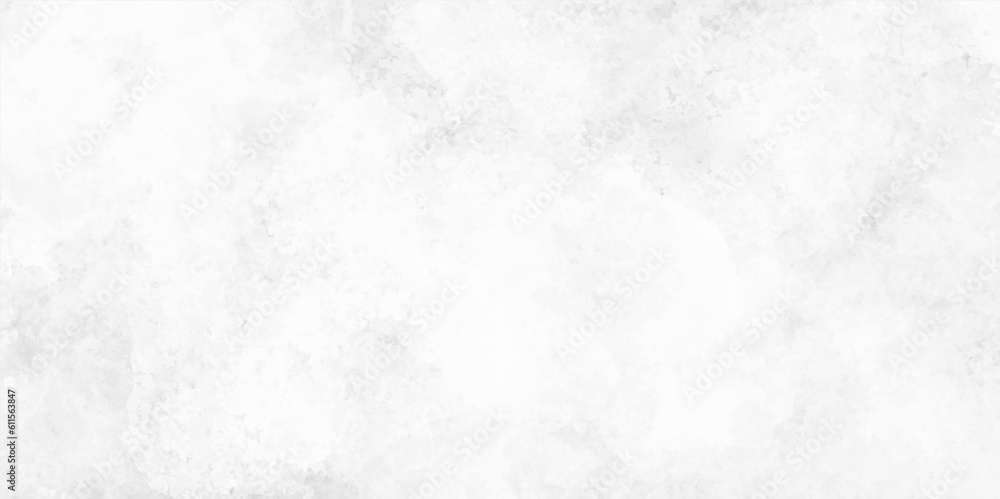 Obraz premium Abstract white grunge texture background