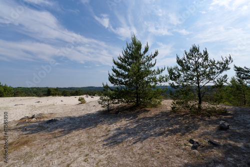 White sand of the Mont Blanc hill in Fontainebleau forest