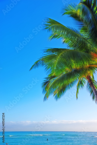 Fototapeta Naklejka Na Ścianę i Meble -  Ocean, blue sky and landscape with beach and palm tree, travel and summer vacation outdoor in Hawaii. Environment, horizon and seaside location with tropical island destination and mockup space