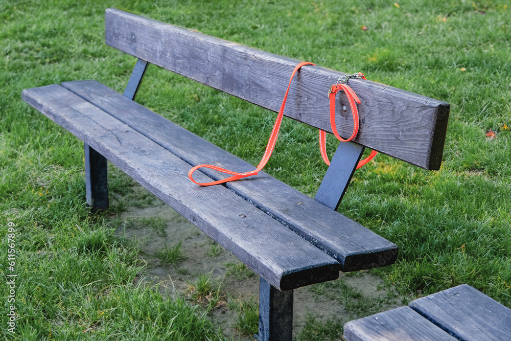 Collar with a leash in the park on a bench. Lost dog. Pet relatives and love concept. Collar with a leash in the park on a bench. Lost dog. Pet relatives and love concept.