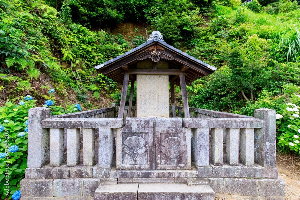 額田郡幸田町、本光寺の願掛け亀