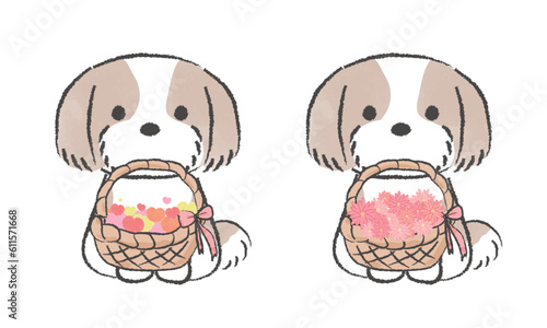 手書き風のシンプルなかわいいシーズーのイラスト　ハートのかご　花が入ったかごをくわえる