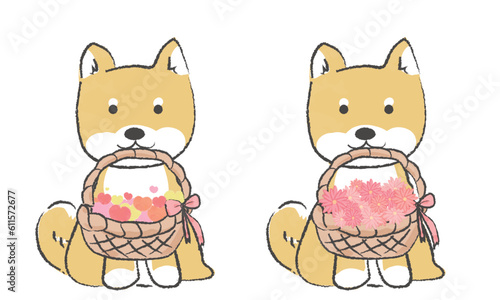 手書き風のシンプルなかわいい柴犬のイラスト　ハートのかご　花が入ったかごをくわえる
