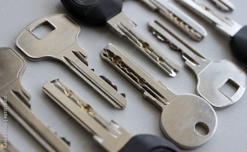 Variety Designed Keys For Lock Laid Out Blade To Blade Isolated On White
Variety Designed Keys For Lock Laid Out Blade To Blade Isolated On White