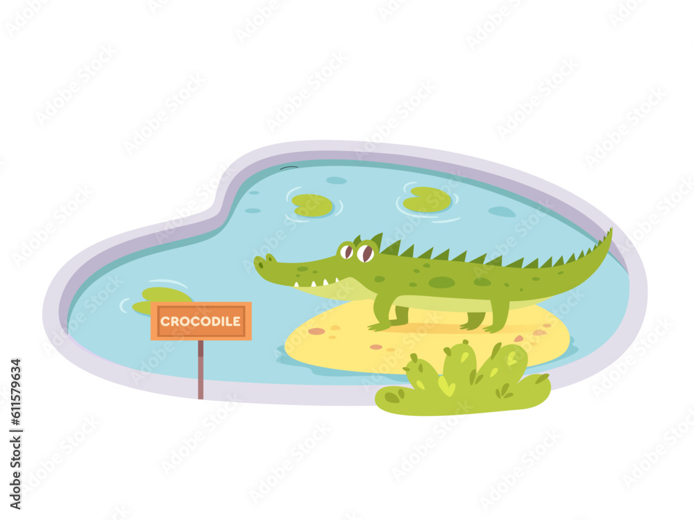 Cute baby crocodile sitting in zoo pond, funny cheerful green animal from tropical swamp Cute baby crocodile sitting in zoo pond, funny cheerful green animal from tropical swamp