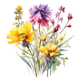 Wildflower Watercolor Clip Art, Watercolor Sublimation Design