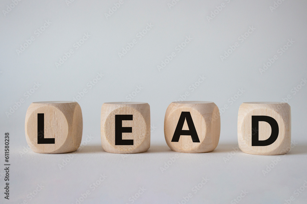 Lead symbol. Concept word Lead on wooden cubes. Beautiful white background. Business and Lead concept. Copy space. Lead symbol. Concept word Lead on wooden cubes. Beautiful white background. Business and Lead concept. Copy space.